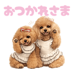 DOG STAMP ORDER_20260520123920