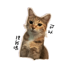 哇係嚕嚕