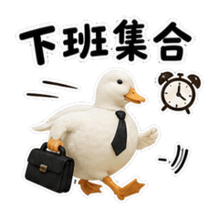 小黃瓜(揪團中)