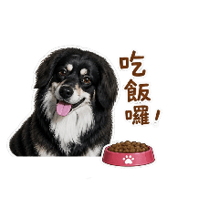 哆比的愛