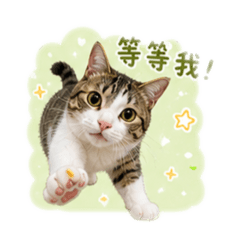 三個小寶貝第二彈