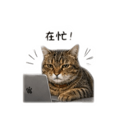 啊miu miu的日常
