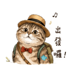 美短兜兜