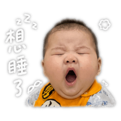 祐寶的表情圖