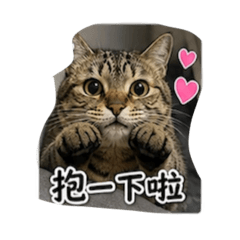 喵_Q比