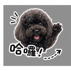 可愛い黑糖