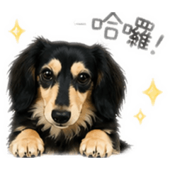 臘腸oreo