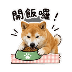 豆仔小碎片2