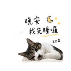張小皮
