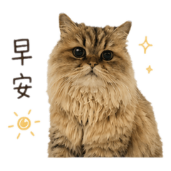 小花與黑黑