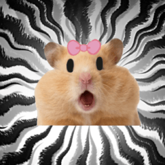 The hamster with pressure(with ribbon)