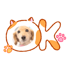 Noako_20260516104912