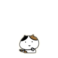 anchobix_20260516105234