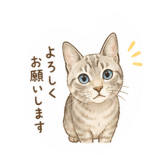 soapon_20260516104343