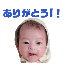 hori_20260516105539