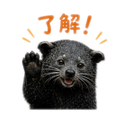 rirumama_20260516104820