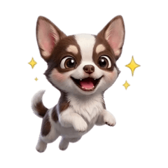 aki_20260516183002