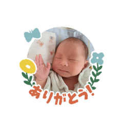 KOTO_20260516181632