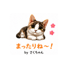 Lovey Saku chan
