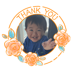 Hikari_20260516190931