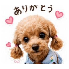 Latte_20260516190259