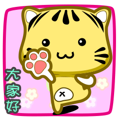 可愛條紋小貓貓!!!CAT197
