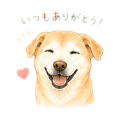 Mayu_20260516122052