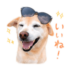 Mayu_20260516122205