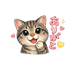 miya(CAT)