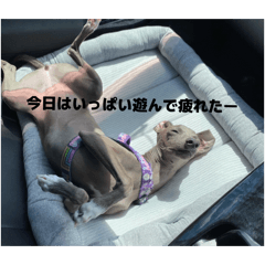 ichi_20260516195837