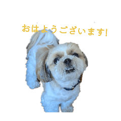 matyatyama_20260516200301