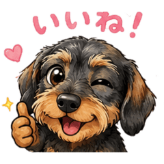 DASland kennel_20260516201036