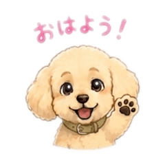shima002_20260516130315