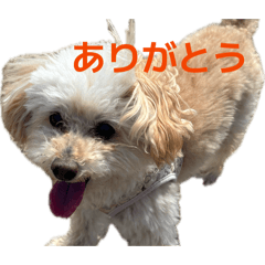 anhiro_20260516125352