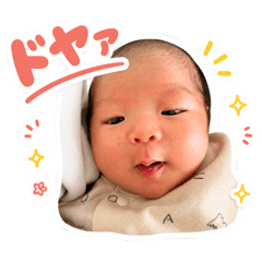 itary_20260516124850