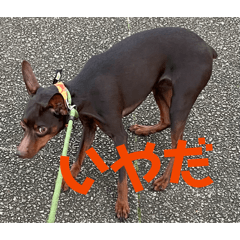 Ratsu_20260516203052