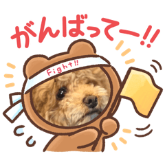 Tirorutyoko_20260516202332