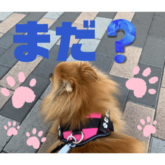 anri_20260516204926