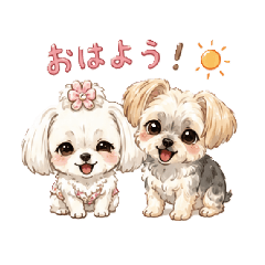 Taichi_20260516204949