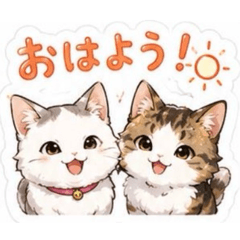 satomi_20260516204918