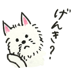 kumamamaaya_20260516205403