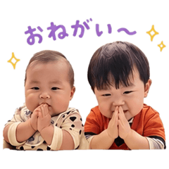 kira_20260516205736