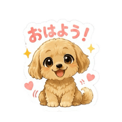 Maltipoo mono