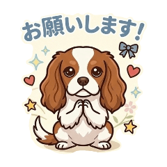 Chacha_20260516210454