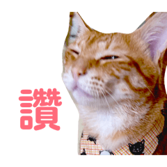 我是酥小P 3