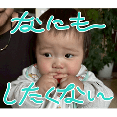 tibita_20260516211016