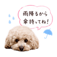 Smiley momo_20260516210824