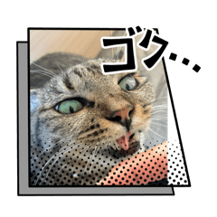 rankiryo_20260516211203