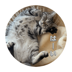 mooom_20260516211454