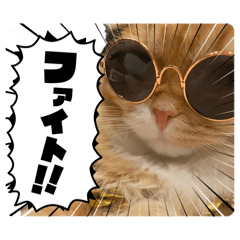 RAIMARU2